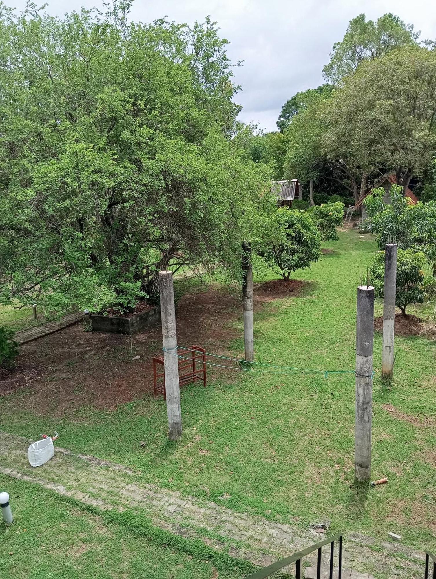 Sigiri Royal Point Tree House Ξενοδοχείο Σιγκιρίγια Εξωτερικό φωτογραφία