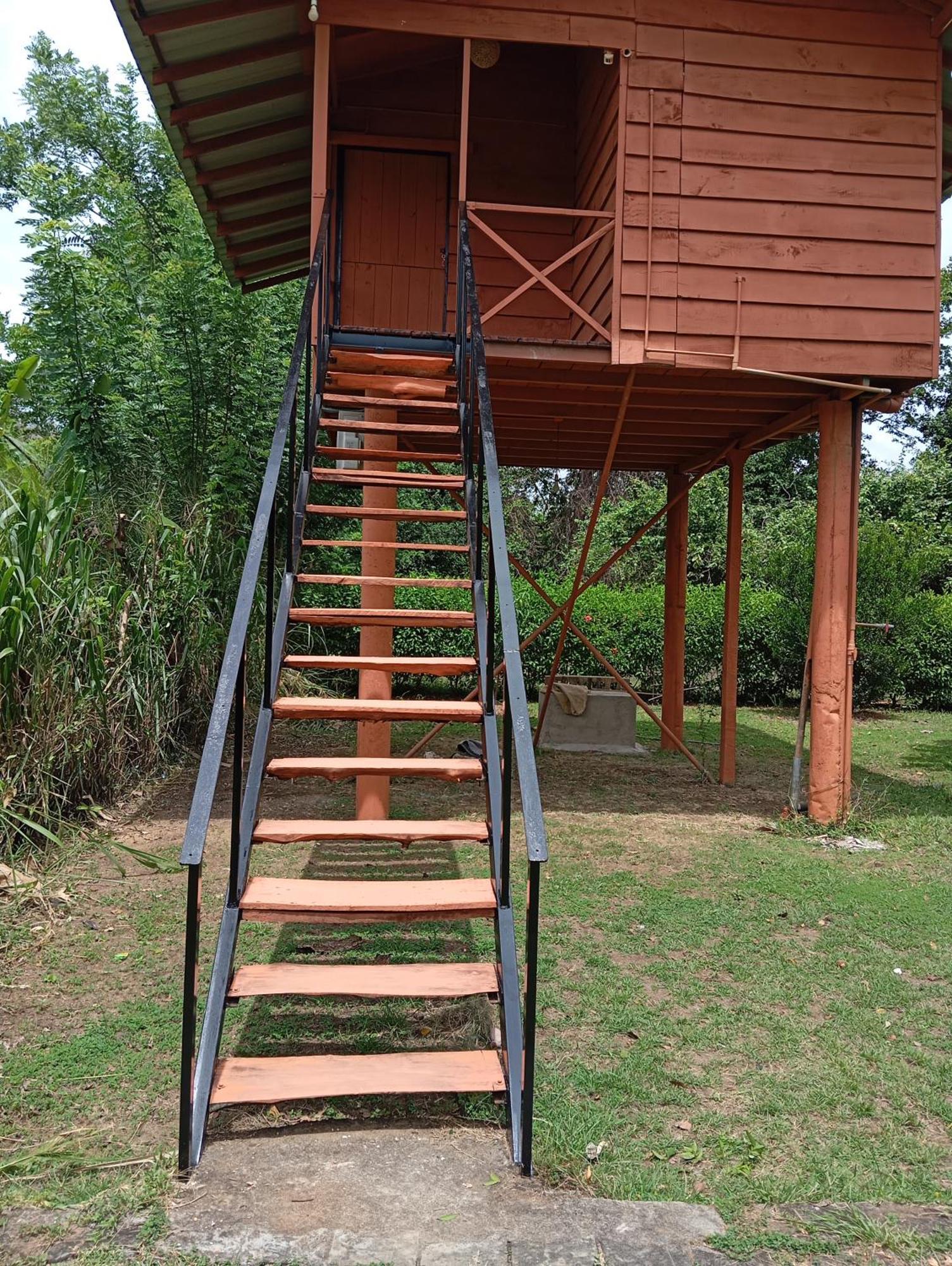 Sigiri Royal Point Tree House Ξενοδοχείο Σιγκιρίγια Εξωτερικό φωτογραφία