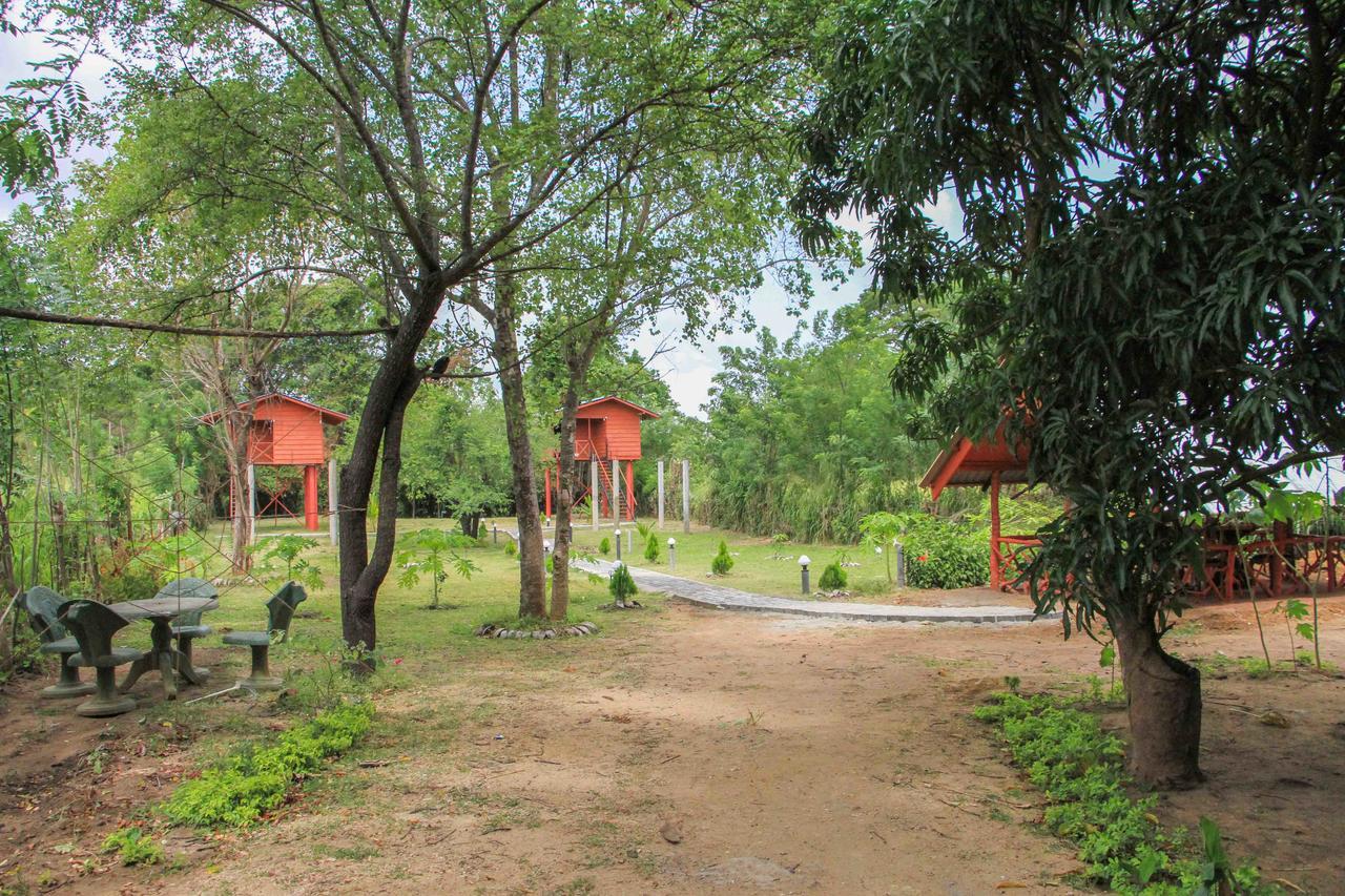 Sigiri Royal Point Tree House Ξενοδοχείο Σιγκιρίγια Εξωτερικό φωτογραφία