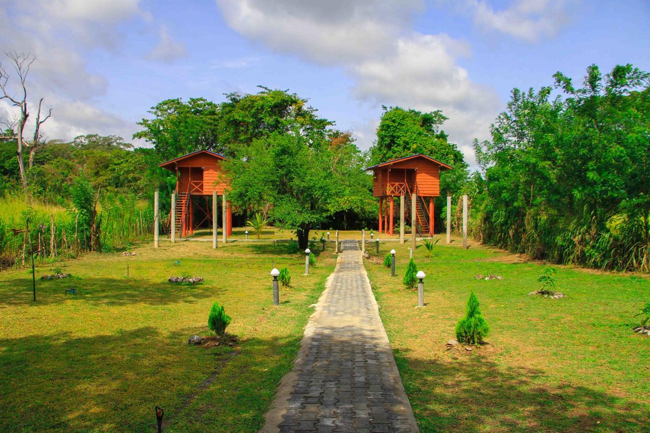 Sigiri Royal Point Tree House Ξενοδοχείο Σιγκιρίγια Εξωτερικό φωτογραφία