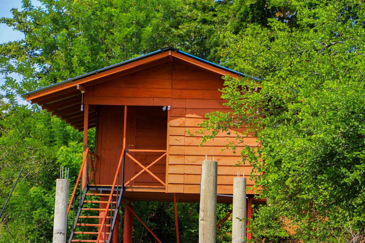 Sigiri Royal Point Tree House Ξενοδοχείο Σιγκιρίγια Εξωτερικό φωτογραφία