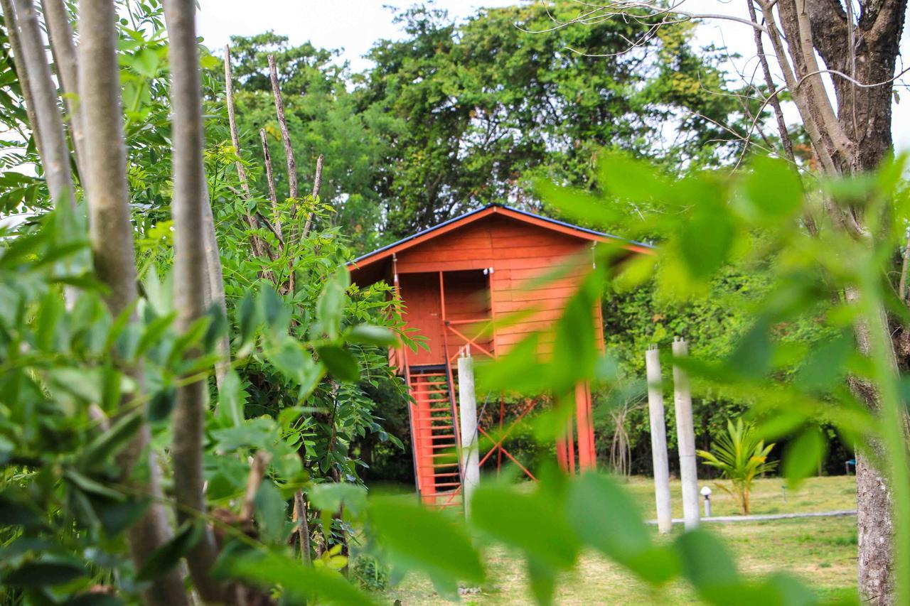 Sigiri Royal Point Tree House Ξενοδοχείο Σιγκιρίγια Εξωτερικό φωτογραφία