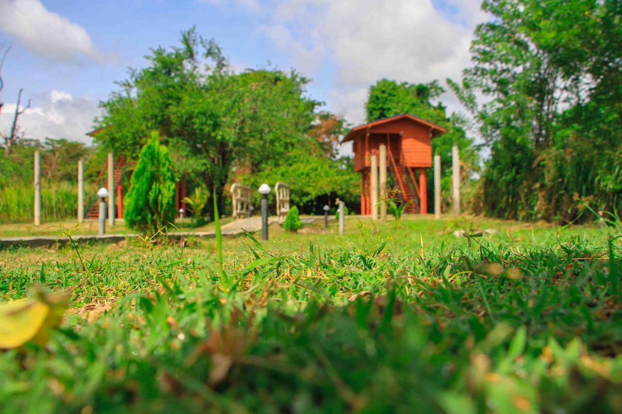 Sigiri Royal Point Tree House Ξενοδοχείο Σιγκιρίγια Εξωτερικό φωτογραφία